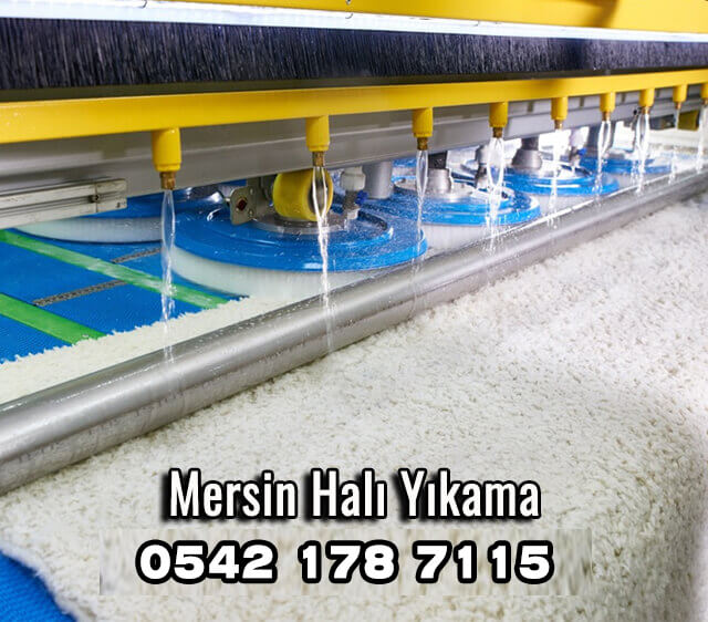mersin halı yıkama resimleri